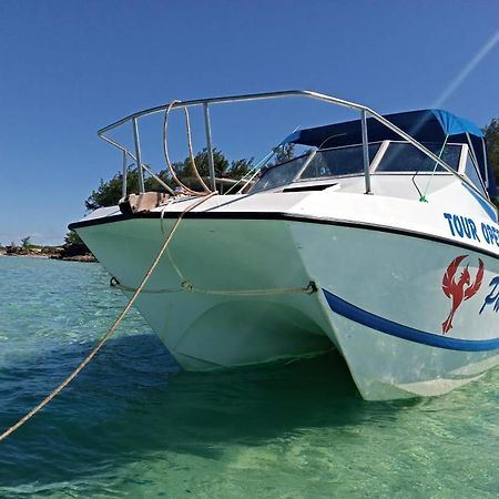 Dolphin Dhow Beach Safaris Vilanculos Exteriör bild