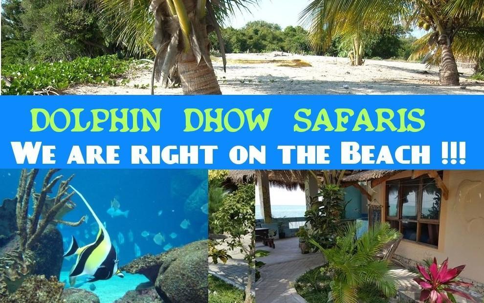 Dolphin Dhow Beach Safaris Vilanculos Exteriör bild